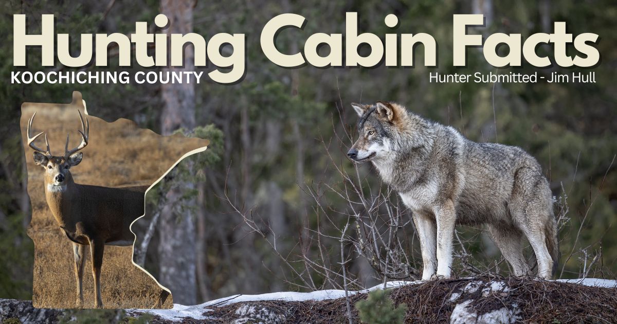 hunting-cabin-facts